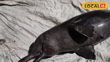 হাওড়ার