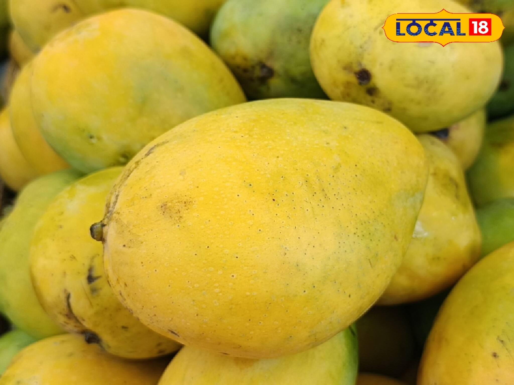 মালদার আমের আগেই জেলার বাজার মাতাচ্ছে এই বিশেষ আম! জেনে নিন এই আমের সর্ম্পকে