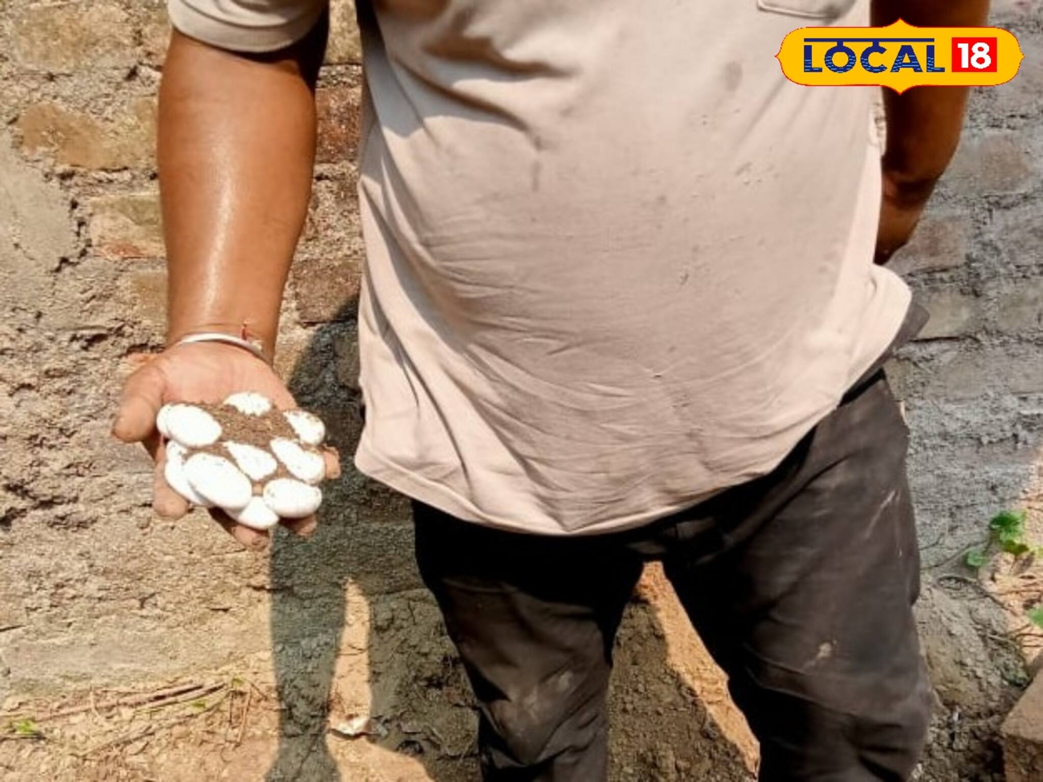 মুরগির ডিম ভাবলেই গেল! খুদেদের স্কুলের পাশেই যা উদ্ধার, জানলে রাতের ঘুম উড়ে যাবে আপনারও