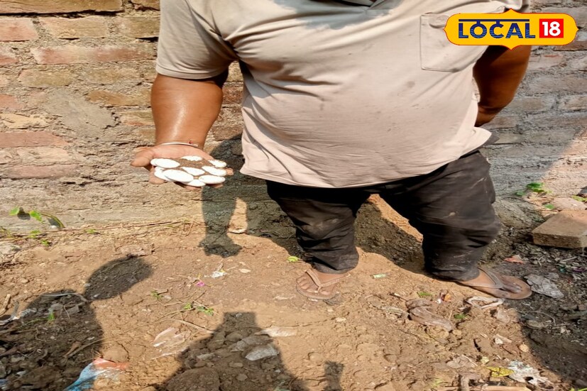 বিদ্যালয় চত্বরে সাপ থাকায় অভিভাবকরা চিন্তিত। অভিভাবকদের দাবি, এর আগেও তারা এই ঘটনা বিদ্যালয় কর্তৃপক্ষকে জানিয়েছে কিন্তু কোনও কাজ হয়নি। তাদের দাবি অবিলম্বে বিদ্যালয়ের চারিপাস পরিষ্কার-পরিচ্ছন্ন করে রাখার। নইলে যে কোনও মুহূর্তে হতে পারে বড় দুর্ঘটনা।