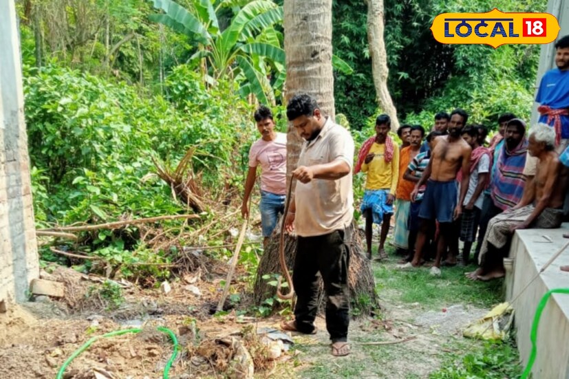 এদিন সকালের দিকে অনেকের নজরে আশায় গ্রামবাসীরা বন দফতরে খবর দেয়। বন দফতরের থেকে আধিকারিকরা এসে দুটি গোখরা সাপ ও ১৭ টি ডিম উদ্ধার করে নিয়ে যায়।