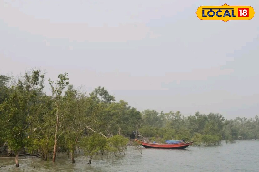 *সুন্দরবনের অপরূপ শোভা থেকে শুরু করে সমুদ্র সৈকত সবই পাবেন এখানে। গোবর্ধনপুরের সমুদ্র সৈকত প্রায় ১৫ কিলোমিটার লম্বা ও ১০ কিলোমিটার চওড়া।