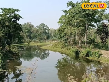 বানিয়া বানিয়া