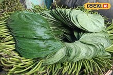 যে সে পান কিন্তু নয়...! বিশেষ এই পানের হাজার উপকারিতা, রোজ একটি খেলে কী ঘটবে শরীরে? জানুন