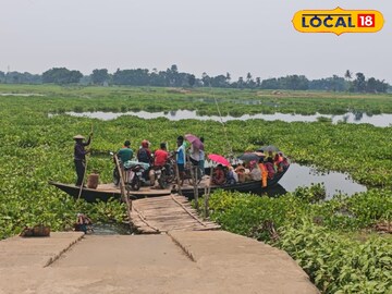 কচুরিপানায়