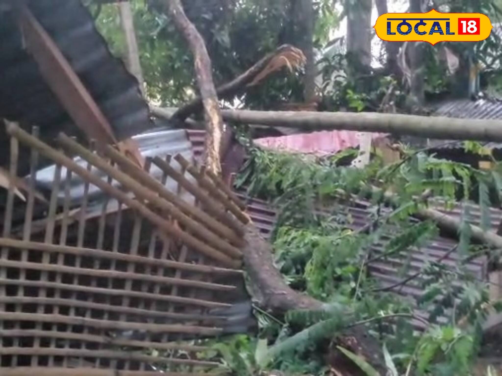 ঝড় বৃষ্টিতে তথনছ! আবহাওয়ার ফেরে ব্যাপক ক্ষতিগ্রস্থ এই জেলা! গাছ পড়ে প্রাণ গেল এক মহিলার