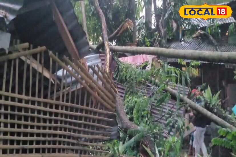 প্রায় আধঘন্টা ধরে চলে ঝড়ো হাওয়া। যারকারণে জেলার বিভিন্ন এলাকায় অনেক গাছ ভেঙে পড়ে। বহু মানুষের বাড়ির ক্ষতি হয়েছে। ক্ষতিগ্রস্ত রাস্তা। ঘটেছে প্রানহানির ঘটনা।