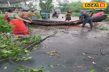 কয়েক মিনিট কালবৈশাখীর তাণ্ডব! ভাঙল গাছ, বাড়ি, বিদ্যুতের খুঁটি! তছনছ জলপাইগুড়ি, ময়নাগুড়ি