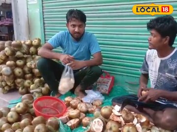 North 24 Parganas News: তীব্র গরমে স্বস্তির পরশ, মরশুমে তালের শাঁস বিক্রি করে জীবিকা নির্বাহ সুন্দরবনে