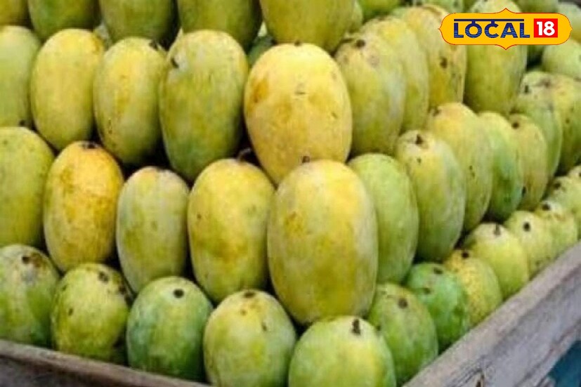 মুর্শিদাবাদ শহরে অন্যতম আম হল এই চৌসা। চৌসা আম যেমন স্বাদ ঠিক তেমনই মিষ্টি ও সুস্বাদু। ফলে মুর্শিদাবাদের এই চৌসা আমের কদর আছে গোটা দেশ জুড়েই।