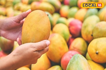 মিয়াজাকি শুনেছেন, ল্যাংড়া, হিমসাগর শুনেছেন। কিন্তু চৌসা! জানেন এই আমের উৎপত্তি, গুরুত্ব মিয়াজাকি শুনেছেন, ল্যাংড়া, হিমসাগর শুনেছেন। কিন্তু চৌসা! জানেন এই আমের উৎপত্তি, গুরুত্ব