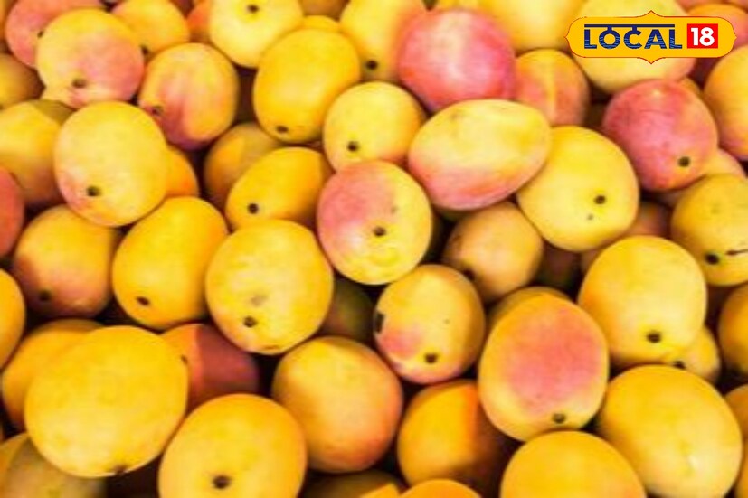 'চৌসা' আমের নাম চৌসা হল কীভাবে? উত্তর জানতে আপনাকে আমাদের সঙ্গে কয়েকশ বছর পিছনে চলে যেতে হবে। এটা ১৫৩৯ সালের কথা যখন শের শাহ সুরি বিহারের চৌসার যুদ্ধে হুমায়ুনকে পরাজিত করেন। এই উদযাপনে তিনি তার প্রিয় আমের নাম রাখেন চৌসা। তখন থেকেই এই জাতের আম একই নামে পরিচিত হয়।