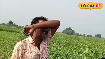 পাটচাষী