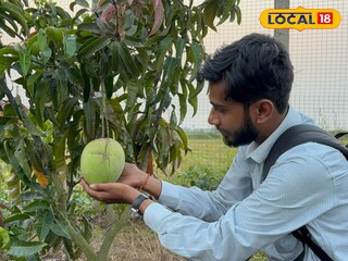 চার কেজি আম 