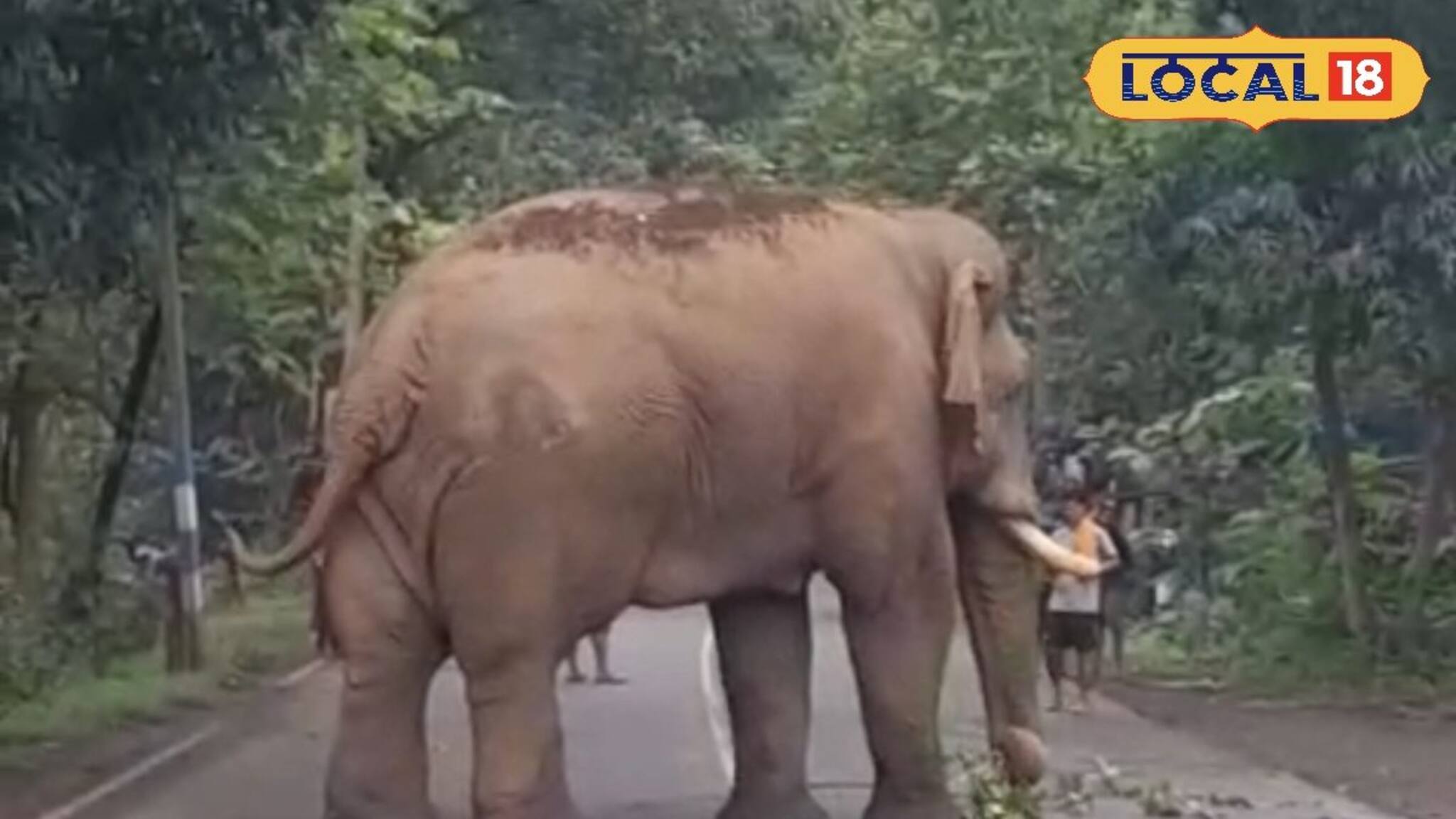Jhargram News: ঝাড়গ্রামে রামলালের দাদাগিরি ! রাস্তা অবরোধ করে নাজেহাল দশা পথচারীদের 