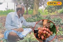 ভারত-পাক সংঘাতের আবহে বন্ধ হয়েছে রফতানি! সমস্যায় পূর্ব বর্ধমানের লিচু চাষিরা