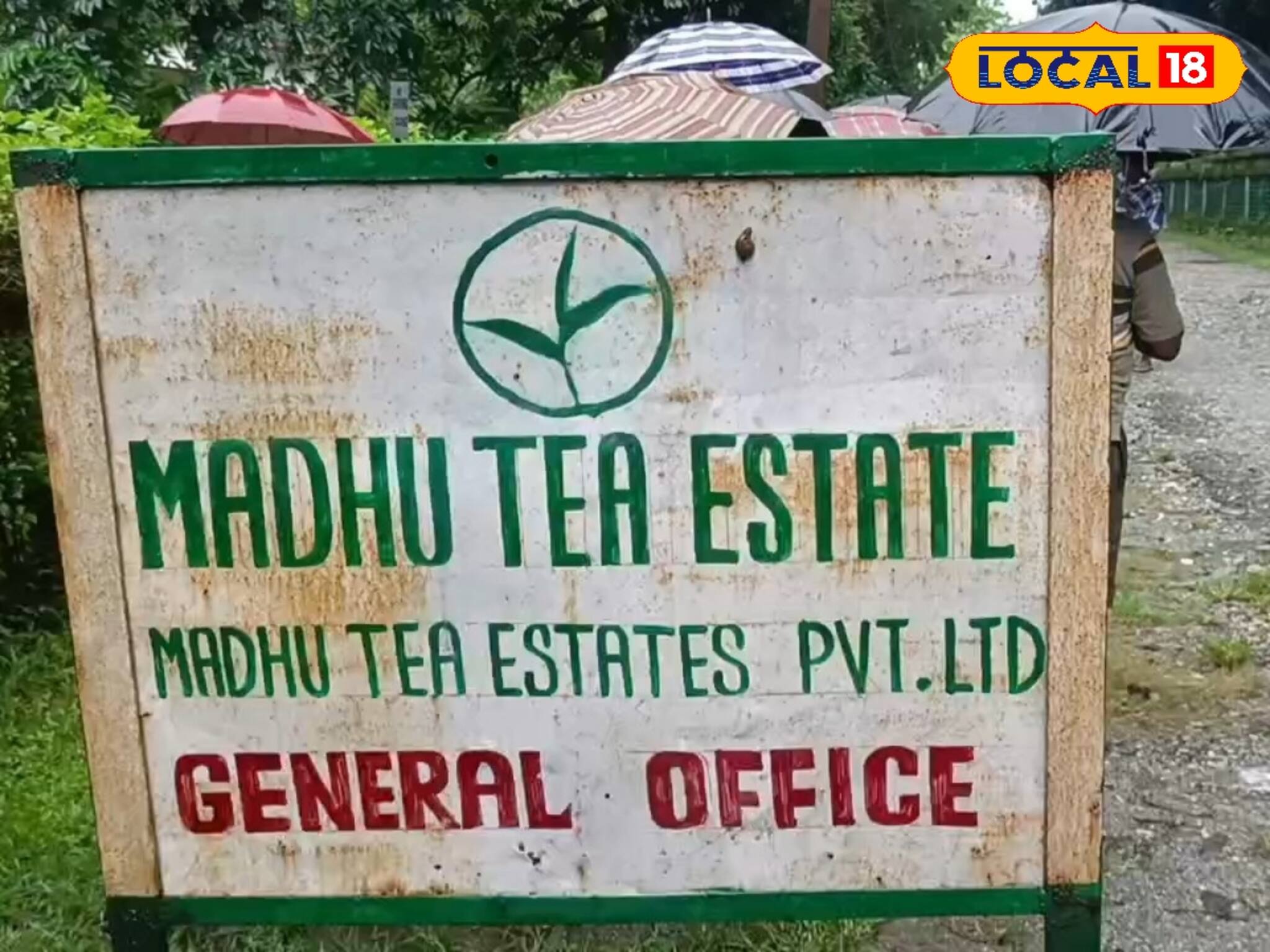 ফের বন্ধ হয়ে গেল ডুয়ার্সের মধু চা বাগান! সমস্যায় শ্রমিকরা