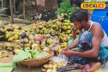 গরম পড়লেই কদর বাড়ে এই গাছের, নিলামে বিক্রি হয়! এই পেশা আপনিও বেছে নিতে পারেন, জানুন!