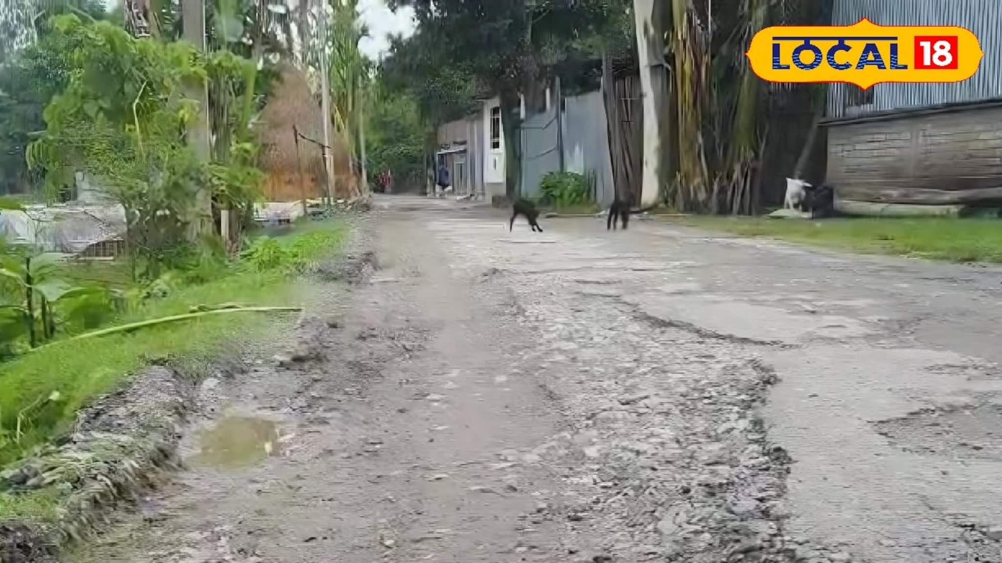 Road Bad Condition: রাস্তা তৈরির এক বছরের মধ্যে বেহাল দশা! ক্ষোভে ফুঁসছে স্থানীয় মানুষ