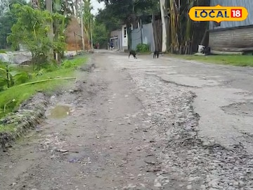 বেহাল