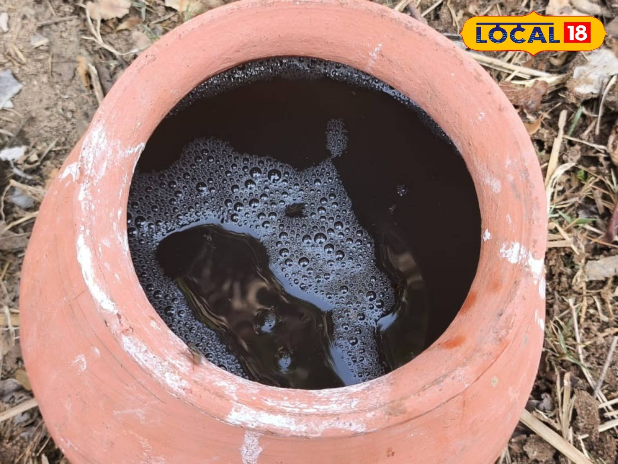 বাঁকুড়ার সোনালী অমৃত, গ্রীষ্মে পাওয়া যায় এই তালের গুড়