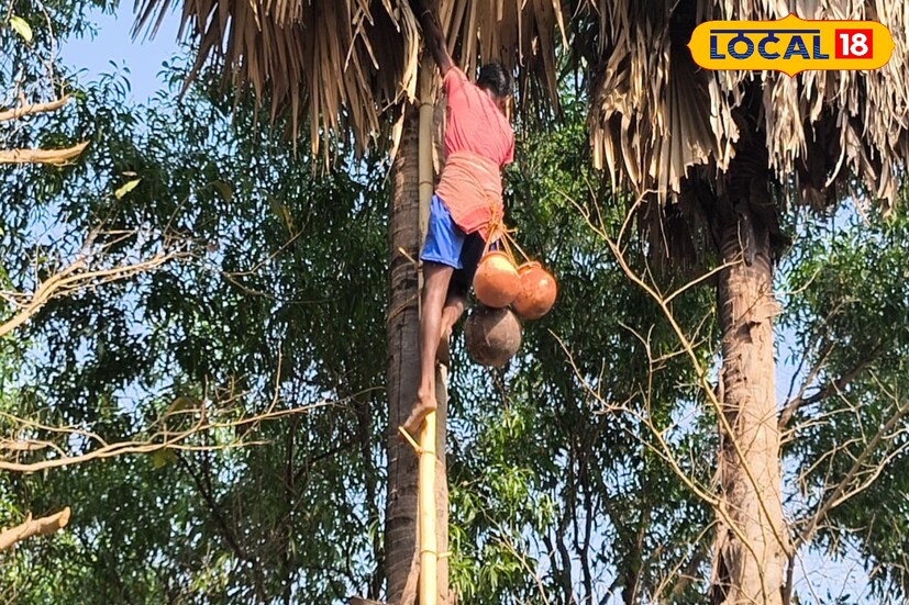 প্রক্রিয়াটা বেশ দীর্ঘ এবং পরিশ্রমের। চৈত্র মাসের পর থেকে জ্যৈষ্ঠ মাস পর্যন্ত সকাল ৬ টা নাগাদ লম্বা তাল গাছে উঠে পড়তে হবে মাটির কলসি কোমড়ে বেঁধে। তাল গাছের ছাল রুক্ষ এবং ছুঁচলো হওয়ার কারণে লম্বা বাঁশের সাহায্যে গাছে উঠতে হয়।