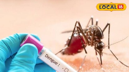 প্রতিকী