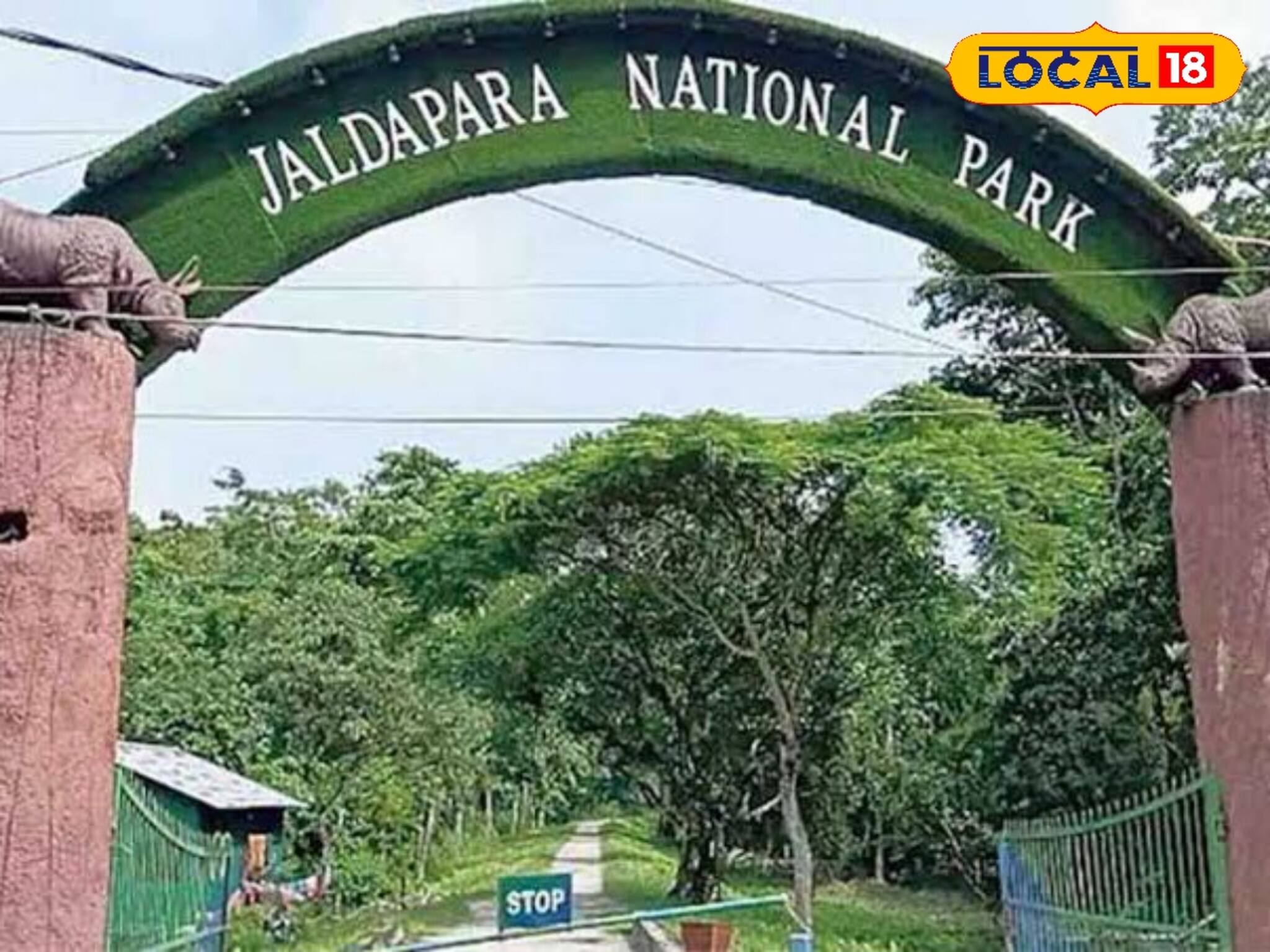 চোরাশিকারীদের ভয়! জোরদার তল্লাশি শুরু জলদাপাড়ায়!