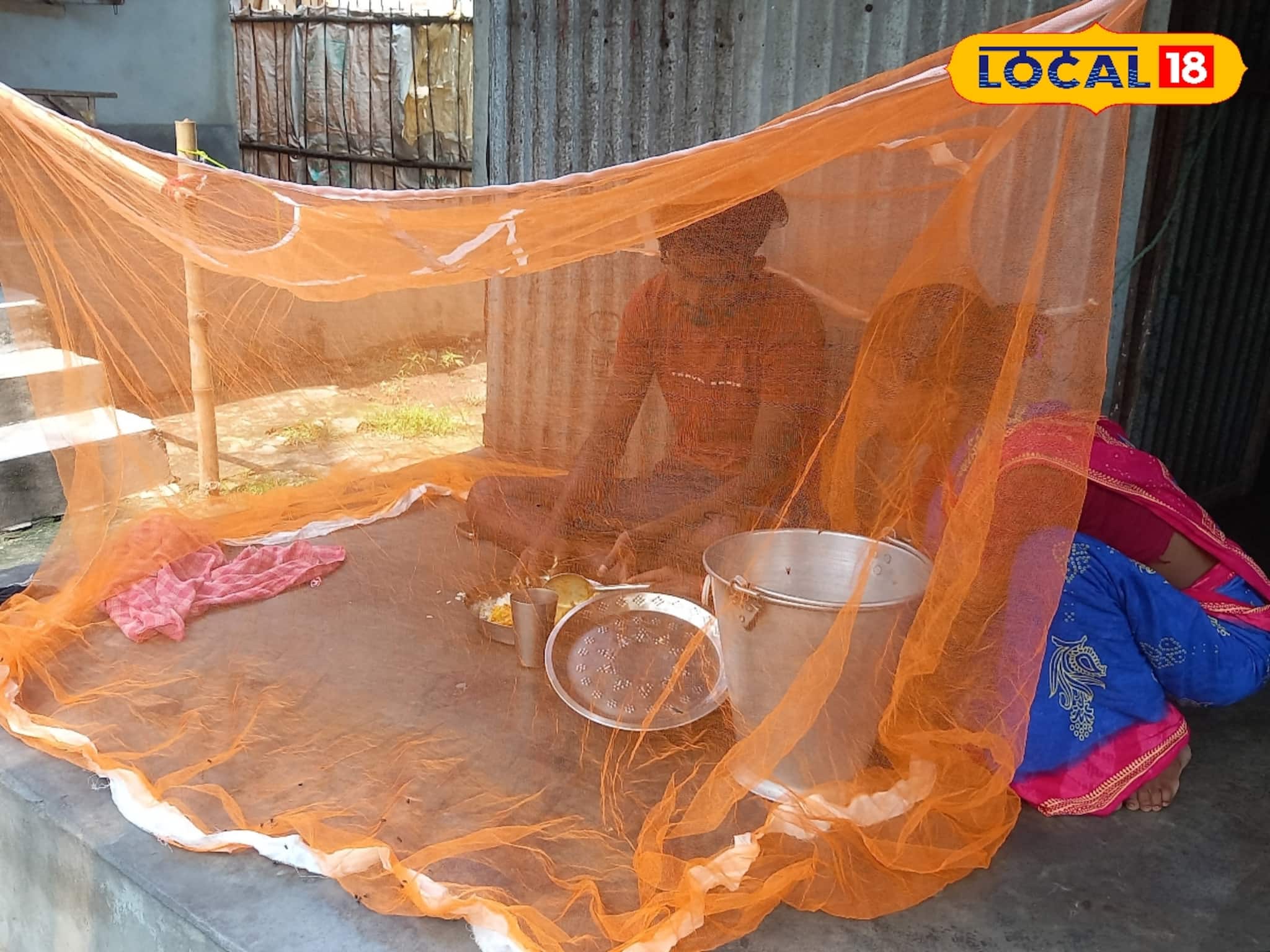 মশারির ভিতর বসে খাওয়া! বেঁচে থাকার অদ্ভুত লড়াই জলপাইগুড়ির এই গ্রামে
