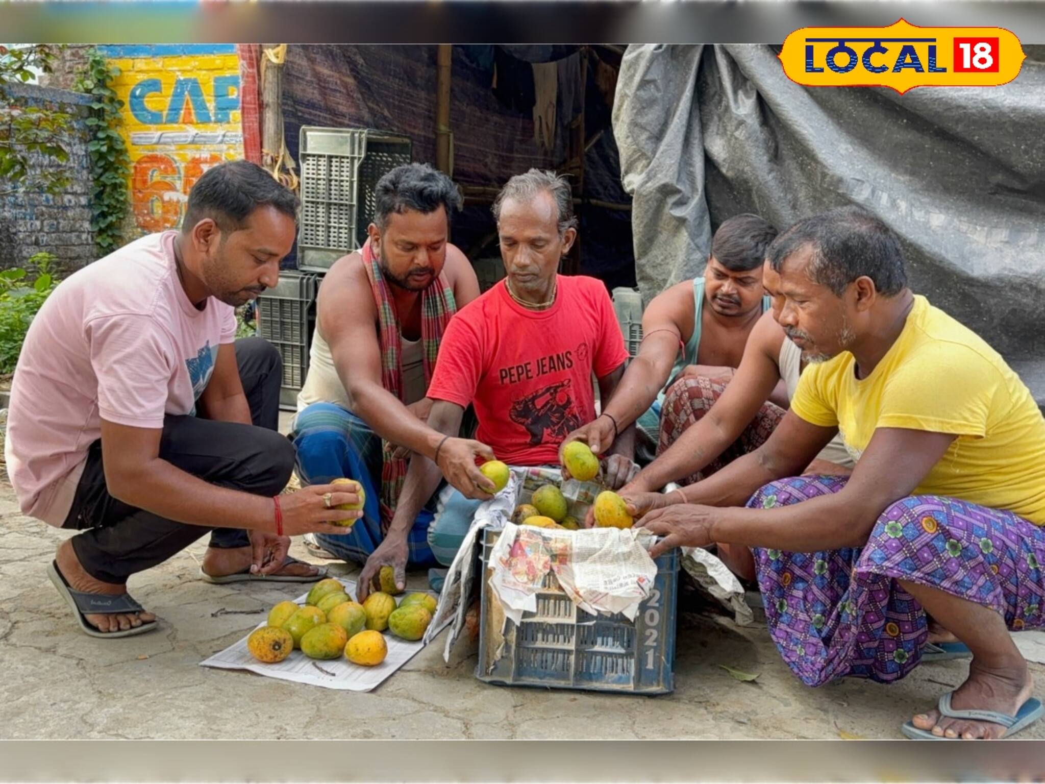 মালদায় কী এমন হল ? সেখানকার আম ব্যবসায়ীরা বর্ধমানে !