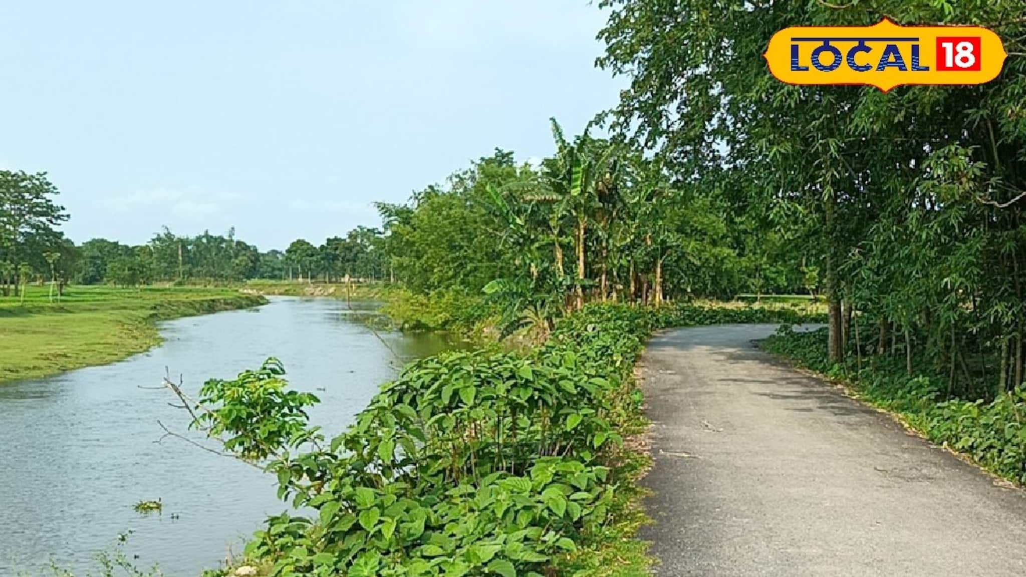 River Erosion: একটানা বৃষ্টিতে নদী গিলতে আসছে প্রধান রাস্তা! তবুও হুঁশ নেই প্রশাসনিক কর্মকর্তাদের