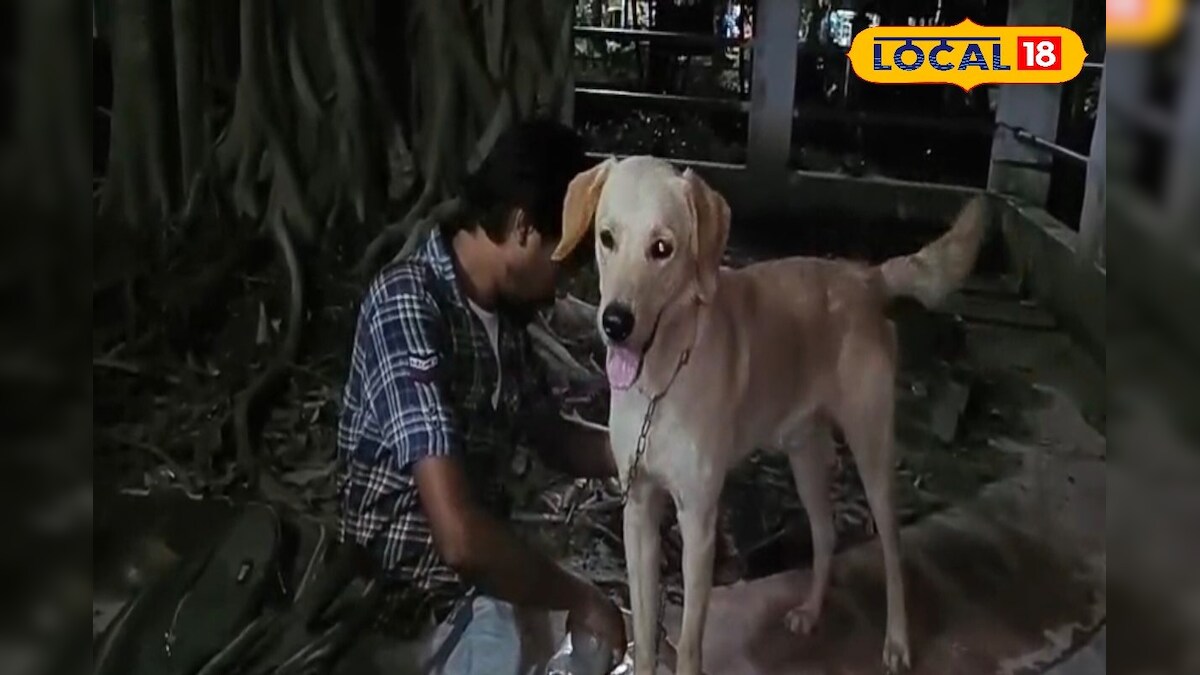 Dog: এক ডাকেই ছুটে এল কাছে! এভাবেই খোঁজ মিলল এক মাস ধরে হারিয়ে ‌যাওয়া পোষ্যের