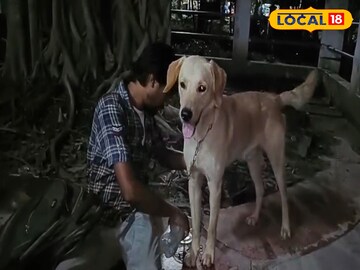নিজের