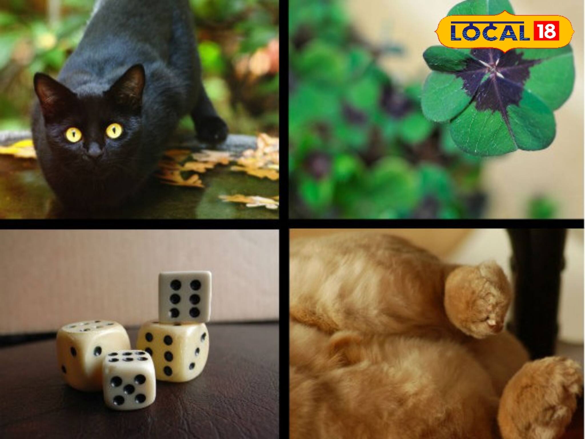 লজিক দিয়ে কুসংস্কার বধ জঙ্গলমহলে