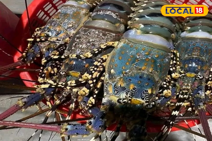 সুন্দরবনে জলের তাপমাত্রা বৃদ্ধিতে সংকটে পড়তে পারে প্রাণীকুল। ইতিমধ্যে ইন্টার গভর্নমেন্টাল প্যানেল অন ক্লাইমেট চেঞ্জ (আইপিসিসি) সতর্ক করে জানিয়েছে জলের তাপমাত্রা প্রায় ৪ ডিগ্রি পর্যন্ত বাড়তে পারে।