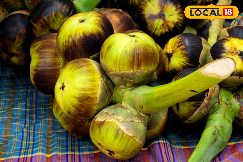 *তালশাঁসে উচ্চ জলীয় উপাদান থাকায়, গর্ভবতী মায়ের শরীরে জলের ঘাটতি পূরণ করে এবং ডিহাইড্রেশন প্রতিরোধ করে বলছেন বিশিষ্ট চিকিৎসক সৌমিত্র দত্ত।