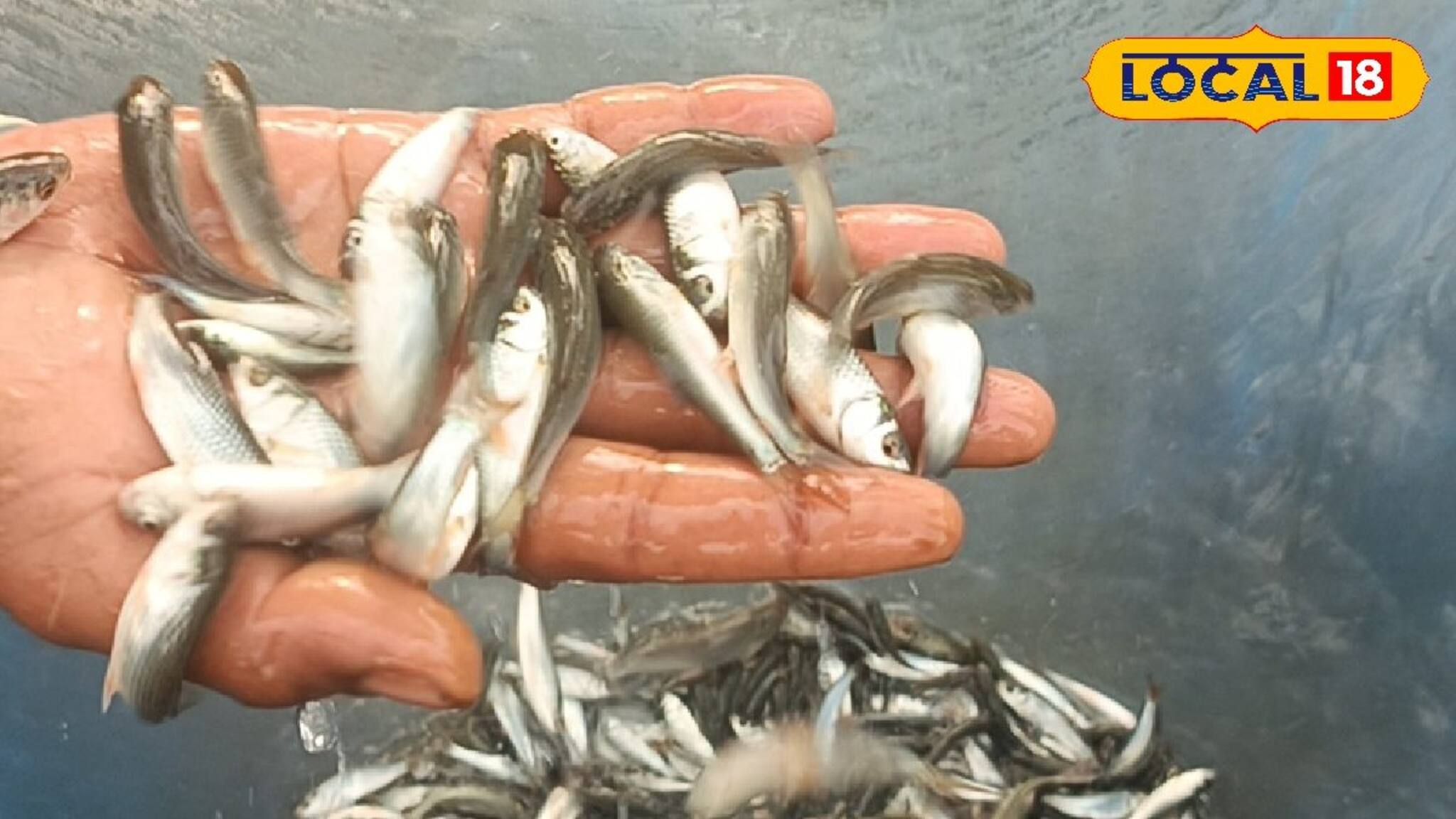 Money Making Tips: দু-এক মাসেই চড়চড়িয়ে বাড়বে রোজগার, নয়া এই কাজেই মুখে ফুটবে চওড়া হাসি, আজই শুরু করুন