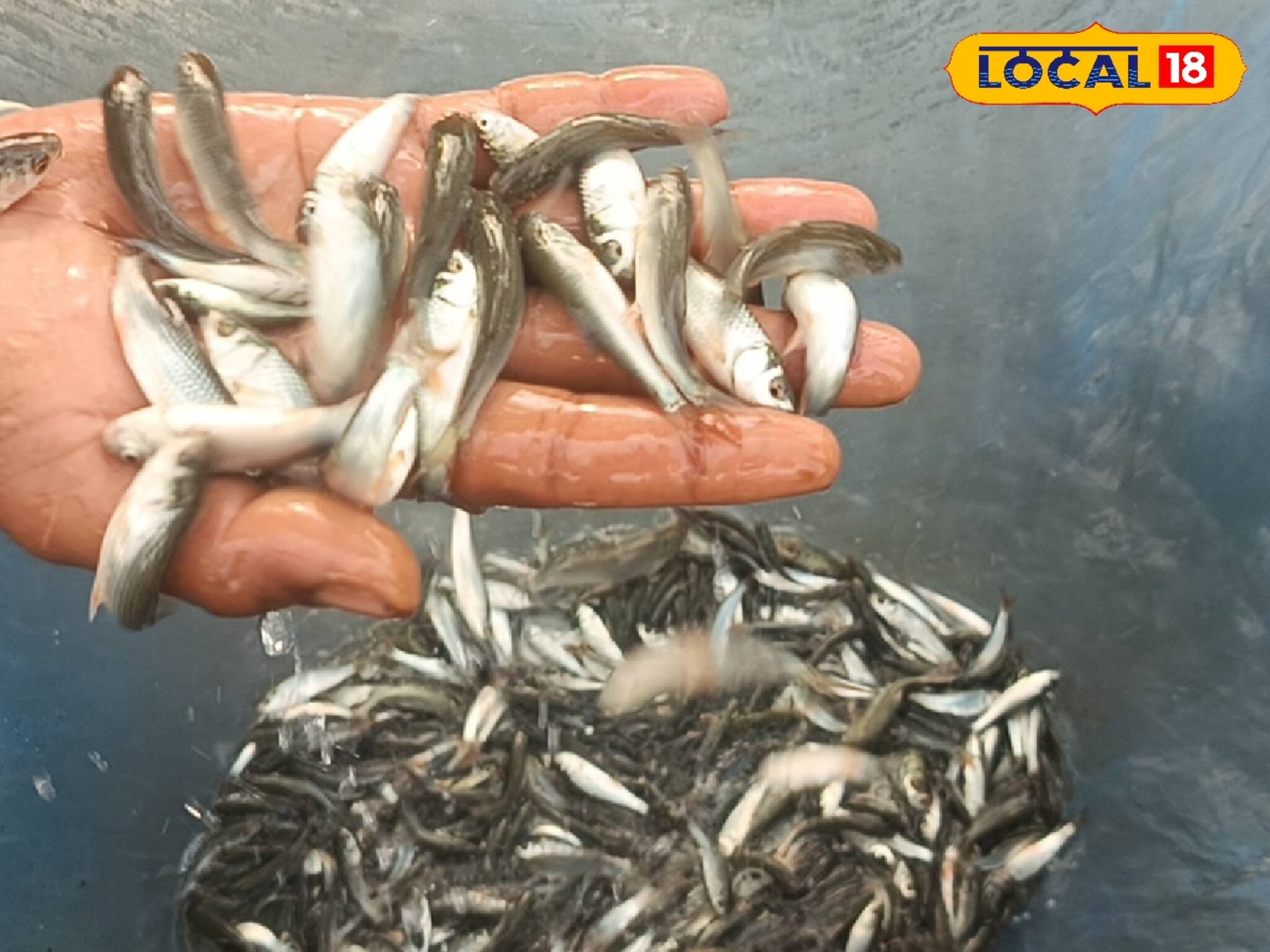 দু-এক মাসেই চড়চড়িয়ে বাড়বে রোজগার, নয়া এই কাজেই মুখে ফুটবে চওড়া হাসি, আজই শুরু করুন