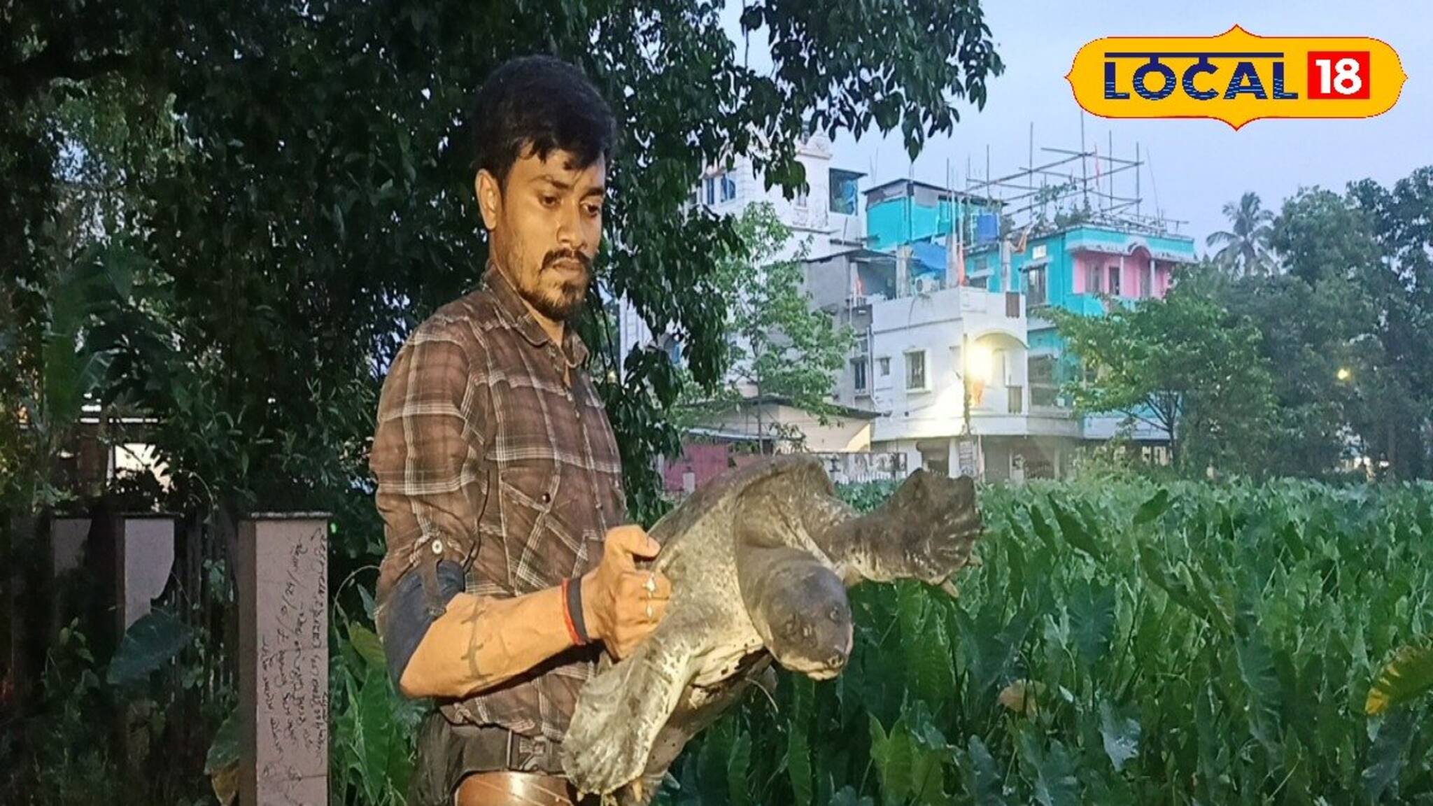 Turtle Rescue: দিঘি থেকে উঠে এসে আটকে গেল গাছের গুঁড়িতে ওটা কী! দেখতে ভিড় জমাল গোটা পাড়া