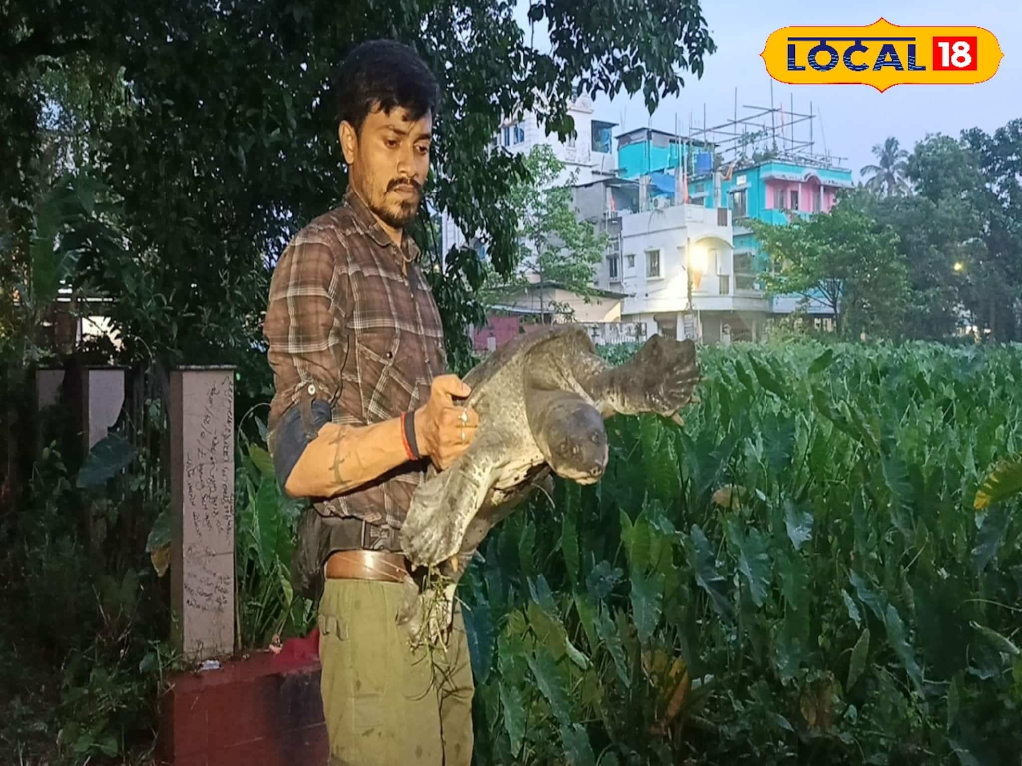 দিঘি থেকে উঠে এসে আটকে গেল গাছের গুঁড়িতে ওটা কী! দেখতে ভিড় জমাল গোটা পাড়া