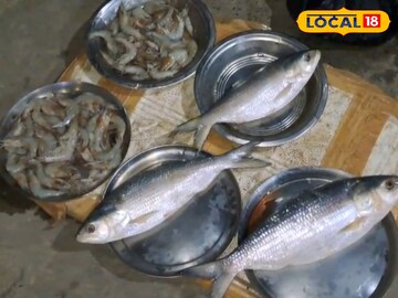 Unique Fish Market: মাছ বিক্রির অভিনব পদ্ধতি! থালায় থালায় গরমাগরম! ওজনে নয়, নিতে হয় দেখেশুনে আন্দাজ করে