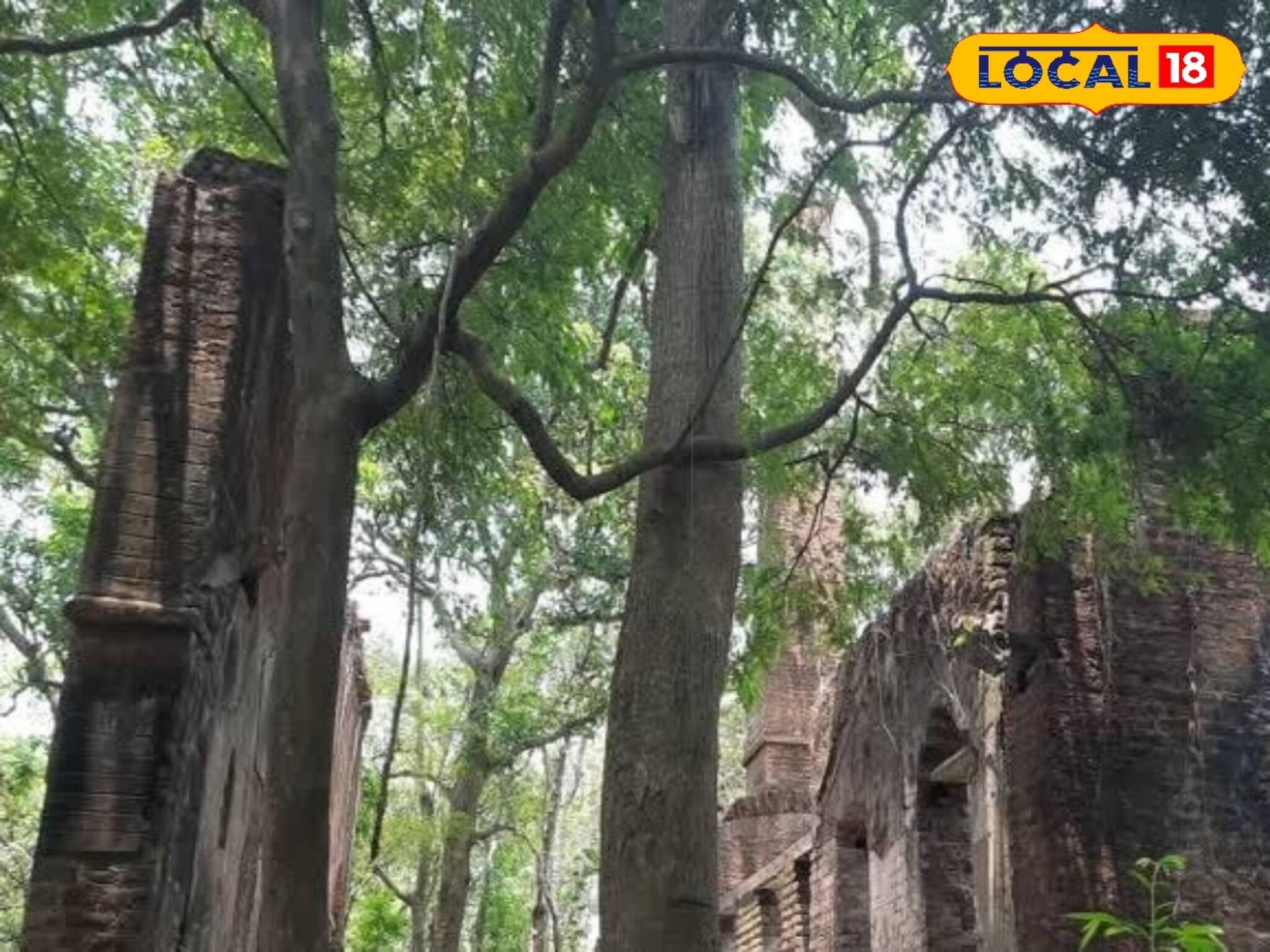 কুয়ে নদীর পাশে ঘন জঙ্গলে ইতিহাস কথা বলে প্রাচীন নীলকুঠির কড়িবড়গায়, আসুন ছোট্ট ছুটিতে