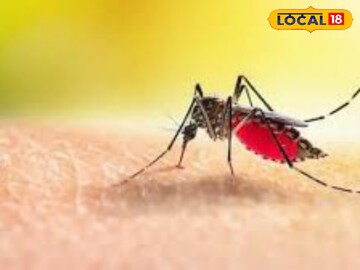 প্রতিকী