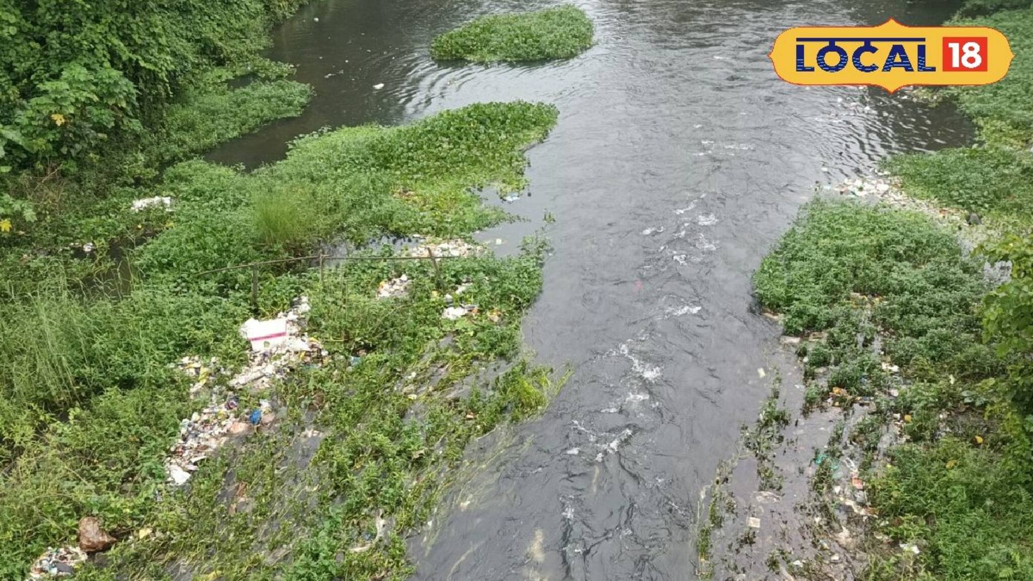 River Pollution: দূষণের জেরে হারিয়ে যাচ্ছে জীব বৈচিত্র্য! মরা তোর্ষা নদীর বেহাল দশায় ক্ষোভ