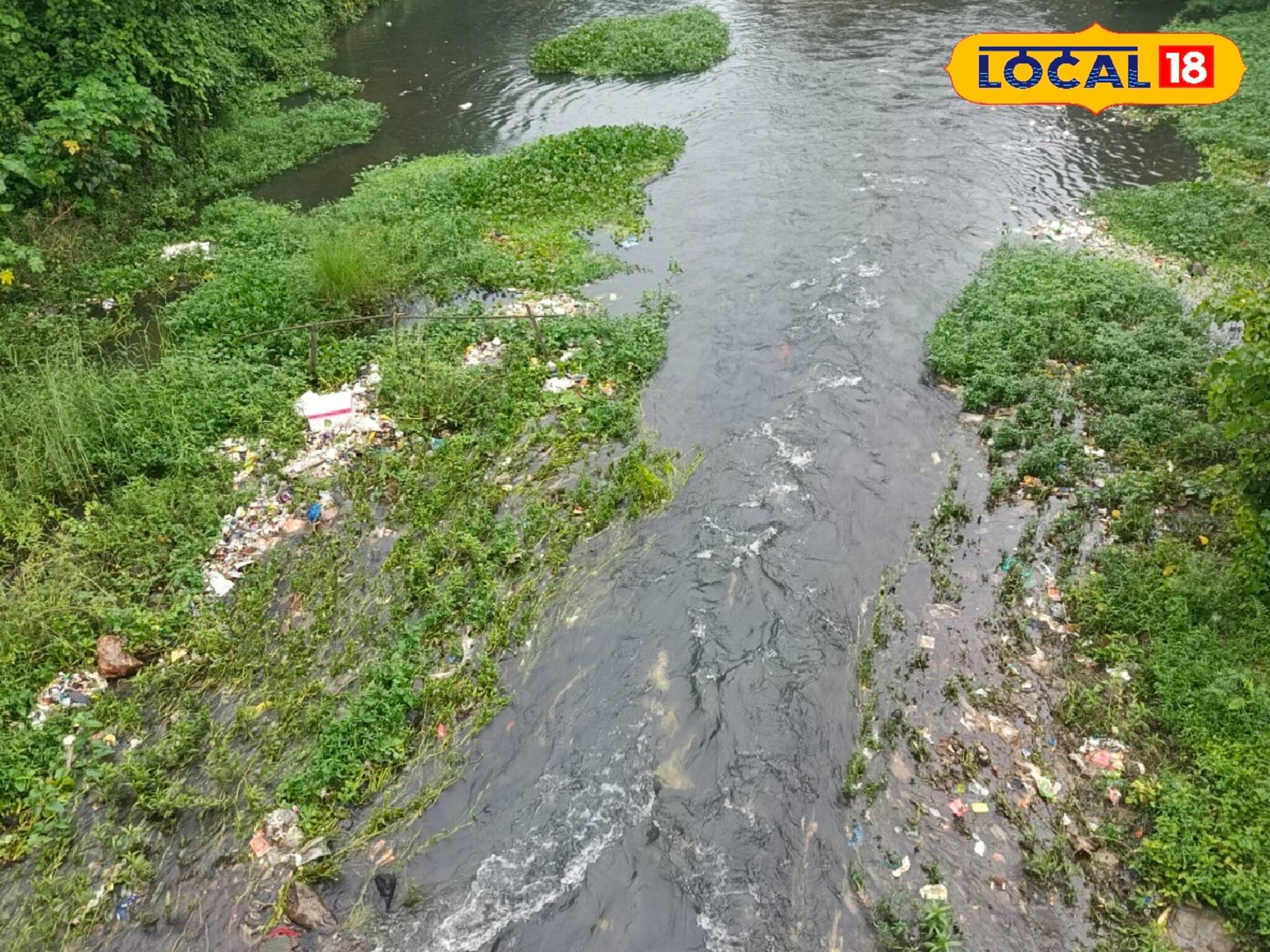 দূষণের জেরে হারিয়ে যাচ্ছে জীব বৈচিত্র্য! মরা তোর্ষা নদীর বেহাল দশায় ক্ষোভ