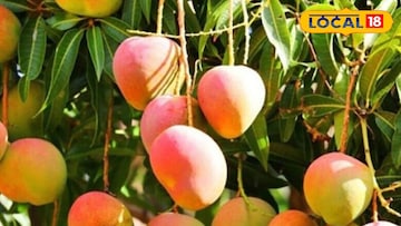 গোলাপখাস