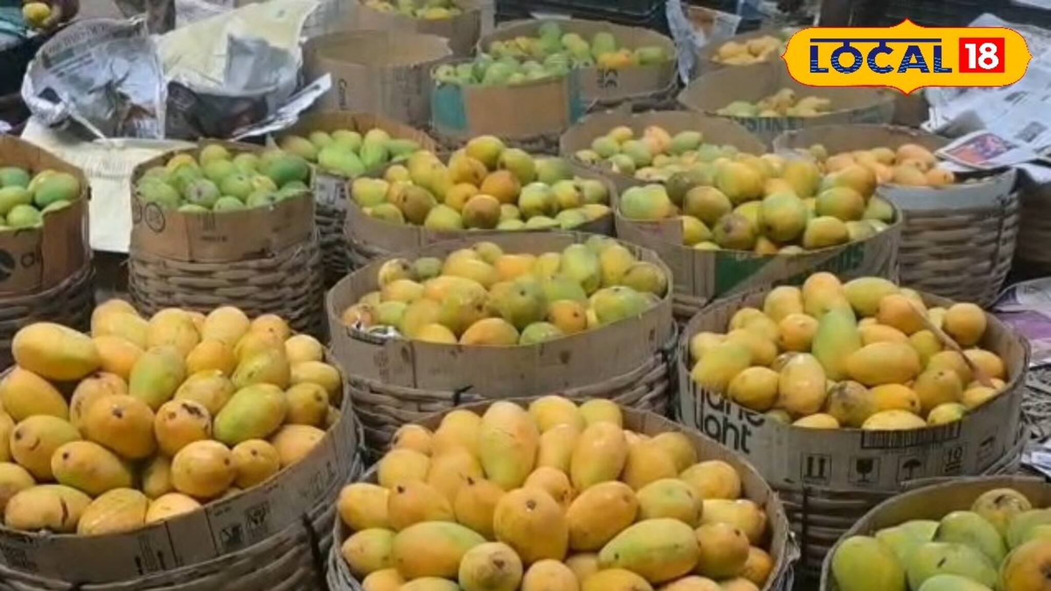 জলের দরে বিকোচ্ছে হিমসাগর, গোলাপখাস!চাষিদের চিন্তা বাড়লেও দাম শুনে আহ্লাদে আটখানা ক্রেতারা