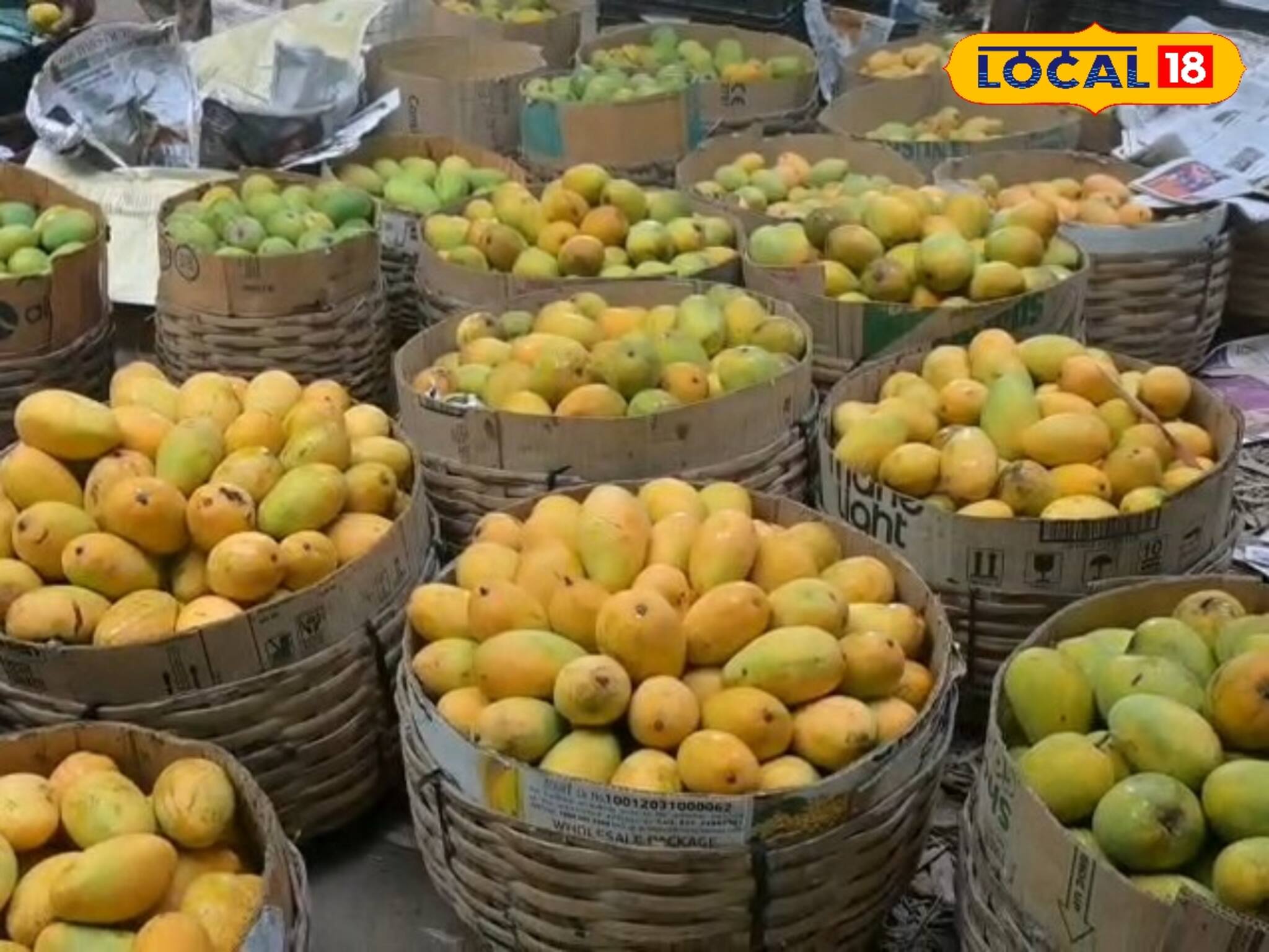 জলের দরে বিকোচ্ছে হিমসাগর, গোলাপখাস!চাষিদের চিন্তা বাড়লেও দাম শুনে আহ্লাদে আটখানা ক্রেতারা