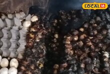কপাল চাপড়ে হাহাকার, দোকানে রাখা হাজার ডিম আগুন লেগে জাস্ট পুড়ে গেল,শুধু এই নয় আরও ক্ষতি