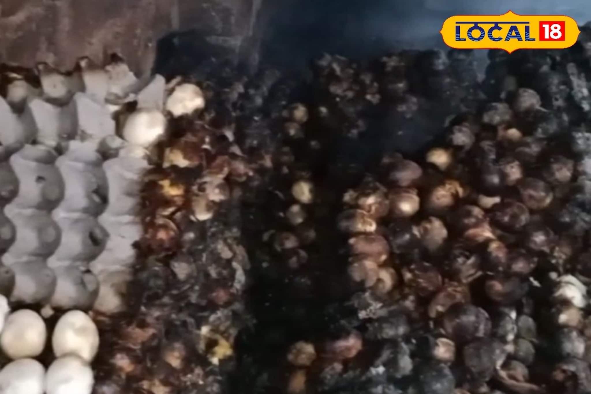 কপাল চাপড়ে হাহাকার, দোকানে রাখা হাজার ডিম আগুন লেগে জাস্ট পুড়ে গেল,শুধু এই নয় আরও ক্ষতি